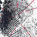 Fingerprint