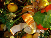 Compost still life100