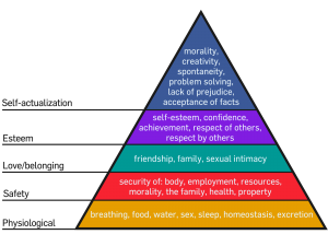 Maslow's_Hierarchy_of_Needs_Pyramid